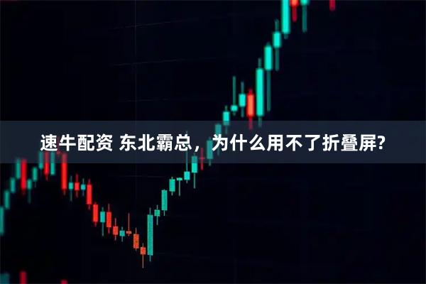 速牛配资 东北霸总，为什么用不了折叠屏?