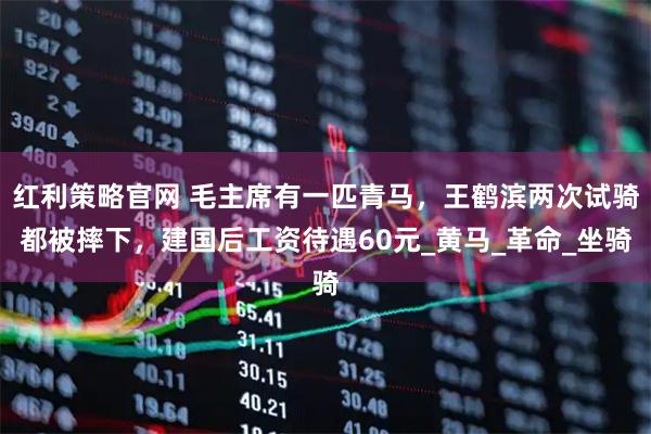 红利策略官网 毛主席有一匹青马，王鹤滨两次试骑都被摔下，建国后工资待遇60元_黄马_革命_坐骑