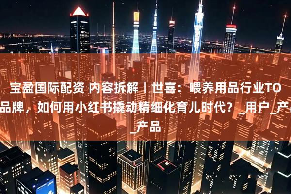 宝盈国际配资 内容拆解丨世喜：喂养用品行业TOP品牌，如何用小红书撬动精细化育儿时代？_用户_产品