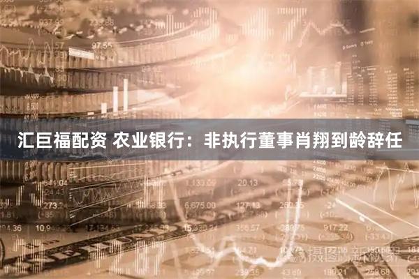 汇巨福配资 农业银行：非执行董事肖翔到龄辞任