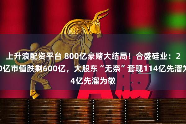 上升浪配资平台 800亿豪赌大结局！合盛硅业：2800亿市值跌剩600亿，大股东“无奈”套现114亿先溜为敬